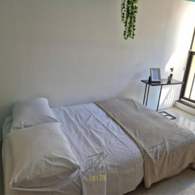 Jlm Carlos Sampaio Loft 210 São Paulo